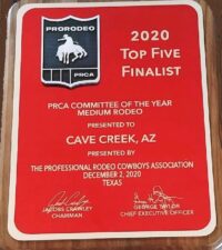 2020 Top Five Finalist Medium Rodeo Award