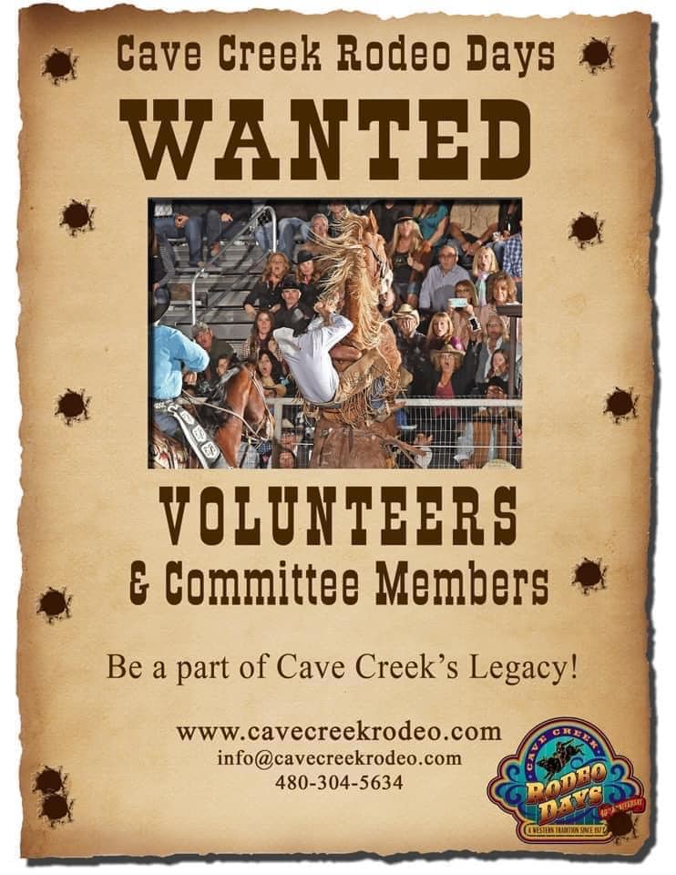 Volunteers Wanted Generic