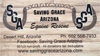 Saving Grace Arizona Equine Rescue