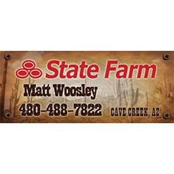 State Farm - Matt Woosley
