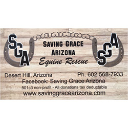 Saving Grace Equine Rescue