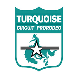 Turquoise Circuit Pro Rodeo