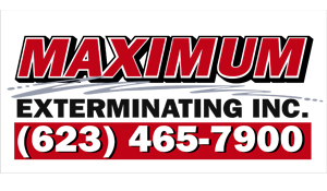 Maximum Exterminating