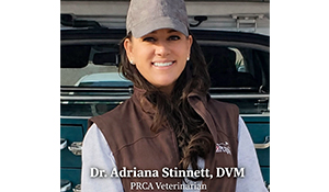 dr adriana stinnett dvm