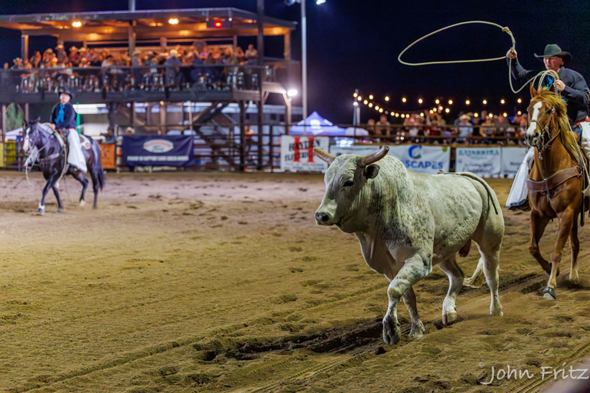 A cowboy on horseback swings a lasso at a charging bull in a well-lit rodeo arena while spectators watch from a two-level grandstand in the background.