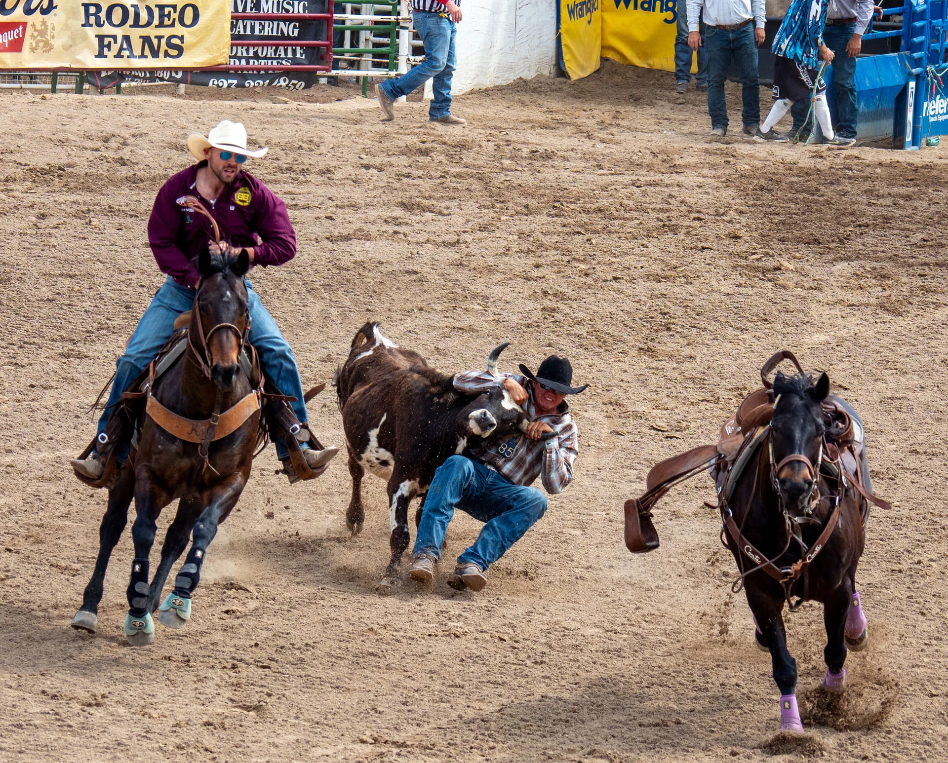 A rodeo scene shows a cowboy on horseback chasing a steer while another cowboy is wrestling the steer to the ground; signs and other participants appear in the background.